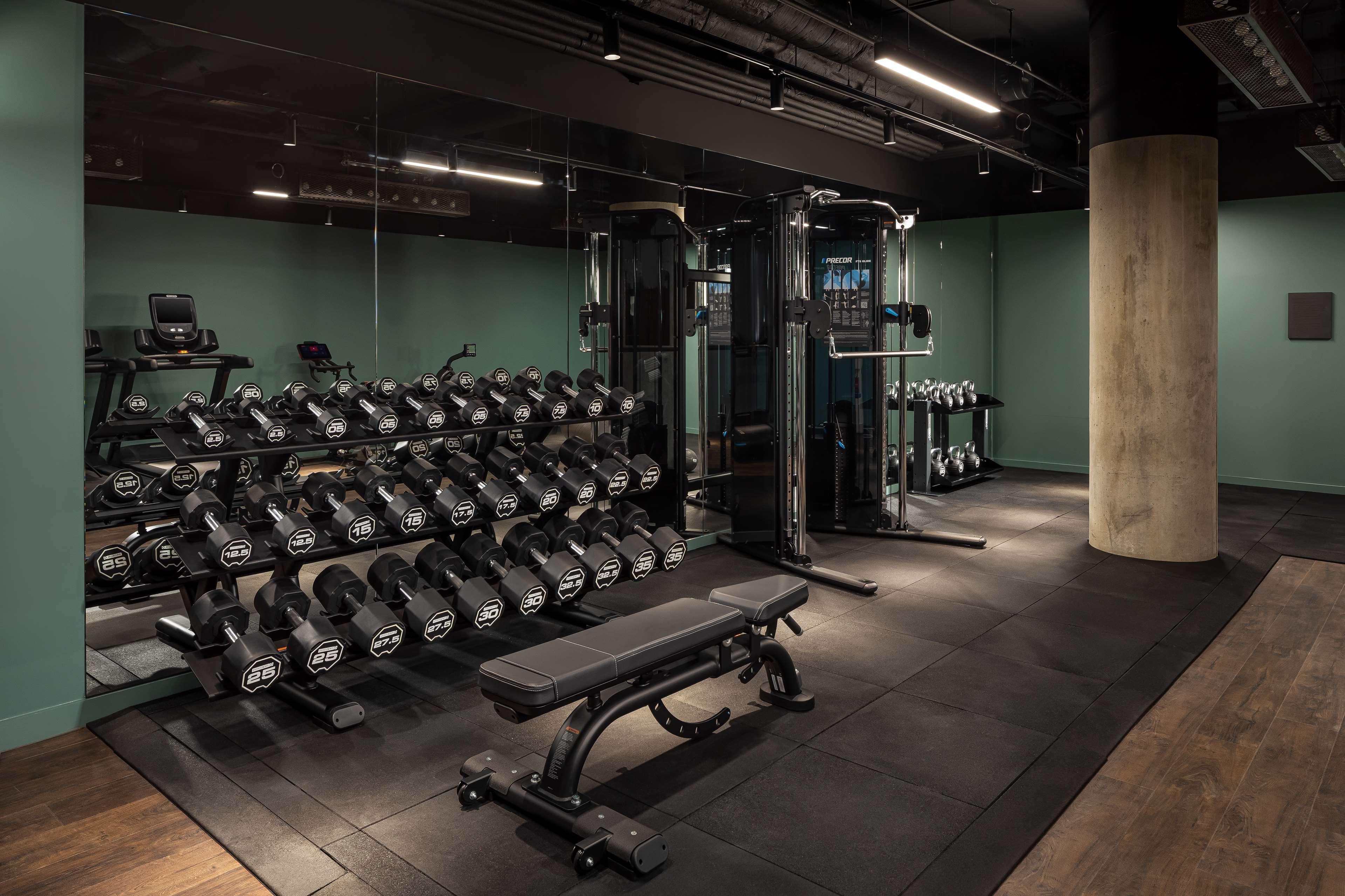 The Gantry Curio Collection By Hilton